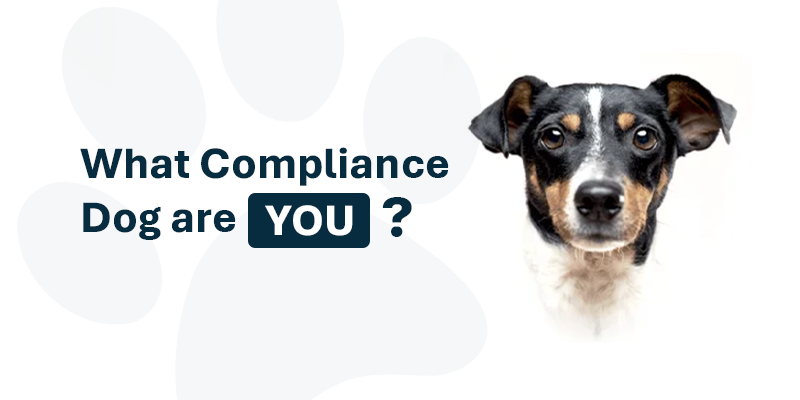Compliance Dog Quiz
